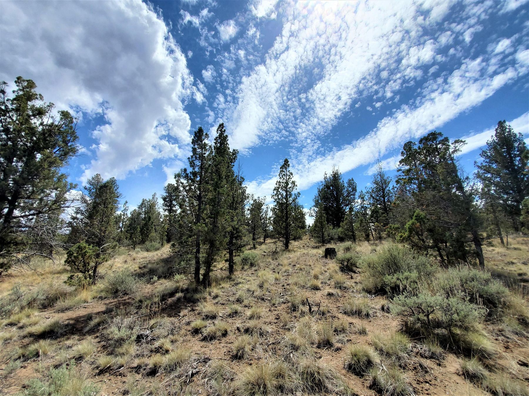 1.8 Acres of Residential Land Prineville, Oregon, OR