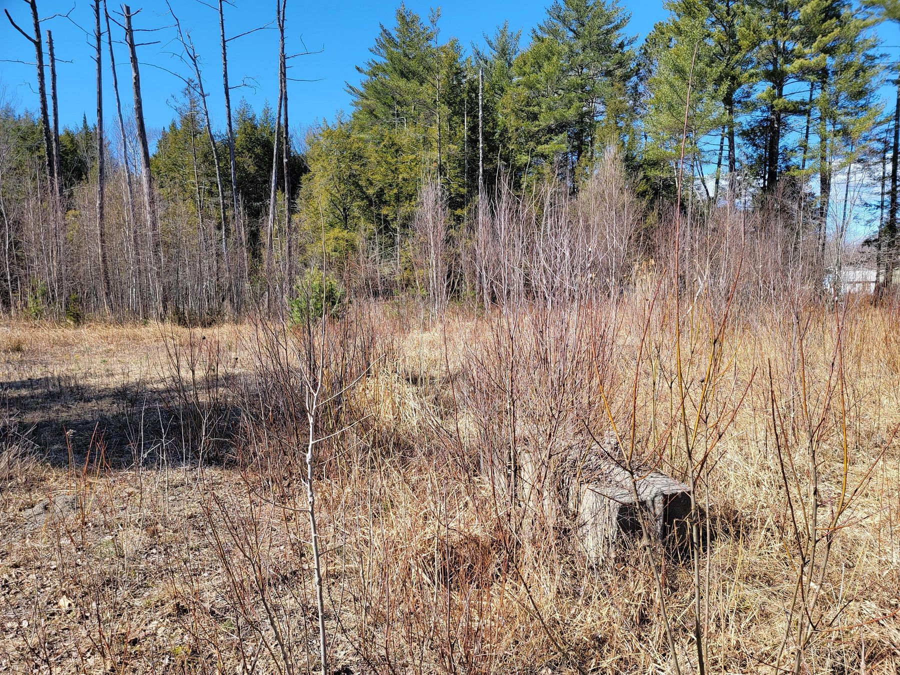 5 Acres of Residential Land Milo, Maine, ME