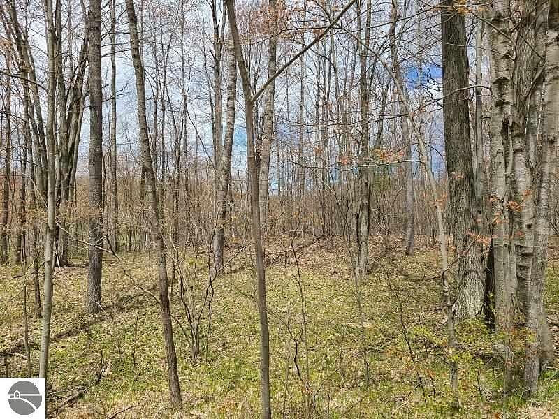 0.53 Acres of Residential Land Reed City, Michigan, MI