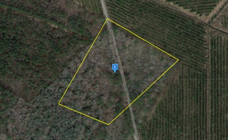 6.84 Acres for Sale in Beaufort County North Carolina for $499 a month!!