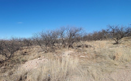 Awesome 0.67 acre lot on the west side of 1-19 with great views