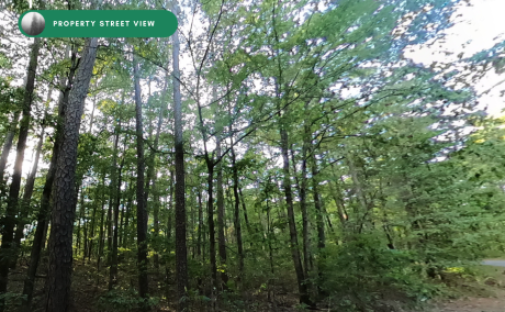 0.24-Acre in Hot Springs Village - Build Your Retirement Home Here!