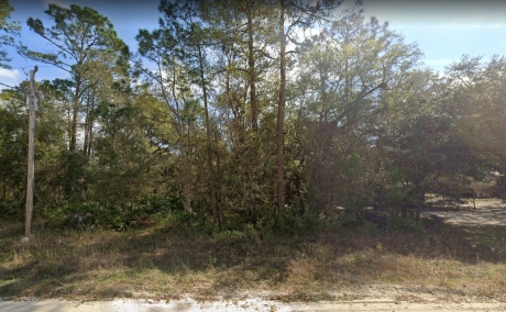 Delightful 0.22 Acre Lot in Putnam County! Only $149/Month