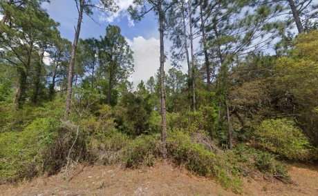 0.23 Acres Wooded Lot Close to Lakes and River, FL only $249 Down/Owner Financing